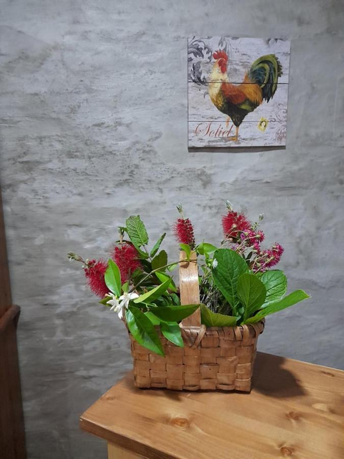 ピニョン Casa Dona Eufemia Bed & Breakfast エクステリア 写真